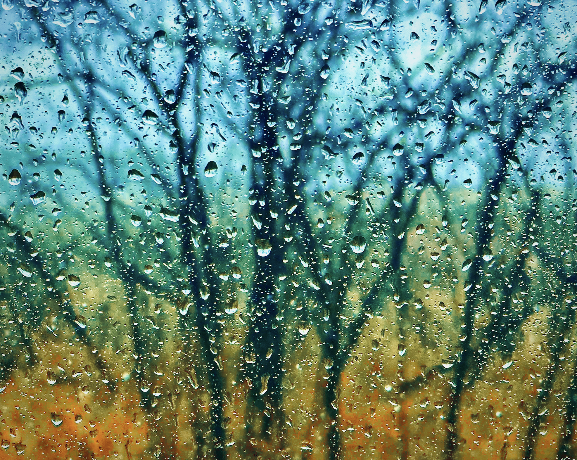 Projection Competition - Themed category is Available Light Portraits