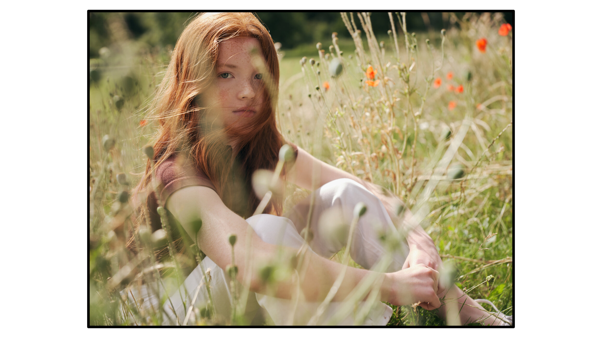 Exploring Isolation1_Blog_2.jpg