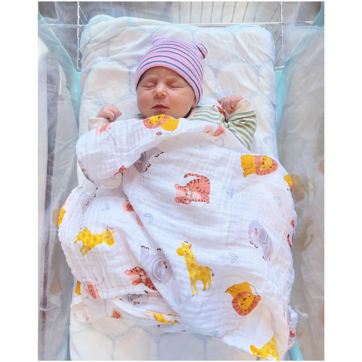 HELLO WORLD! Meet our new arrival LUNA, wearing @littlegreenradicals - thank you for such wonderful clothes.
.
Sorry if I&rsquo;ve been a bit quiet of late, but we&rsquo;ve been waiting on this one to arrive and on Tuesday she did! 
.
I&rsquo;m unbel