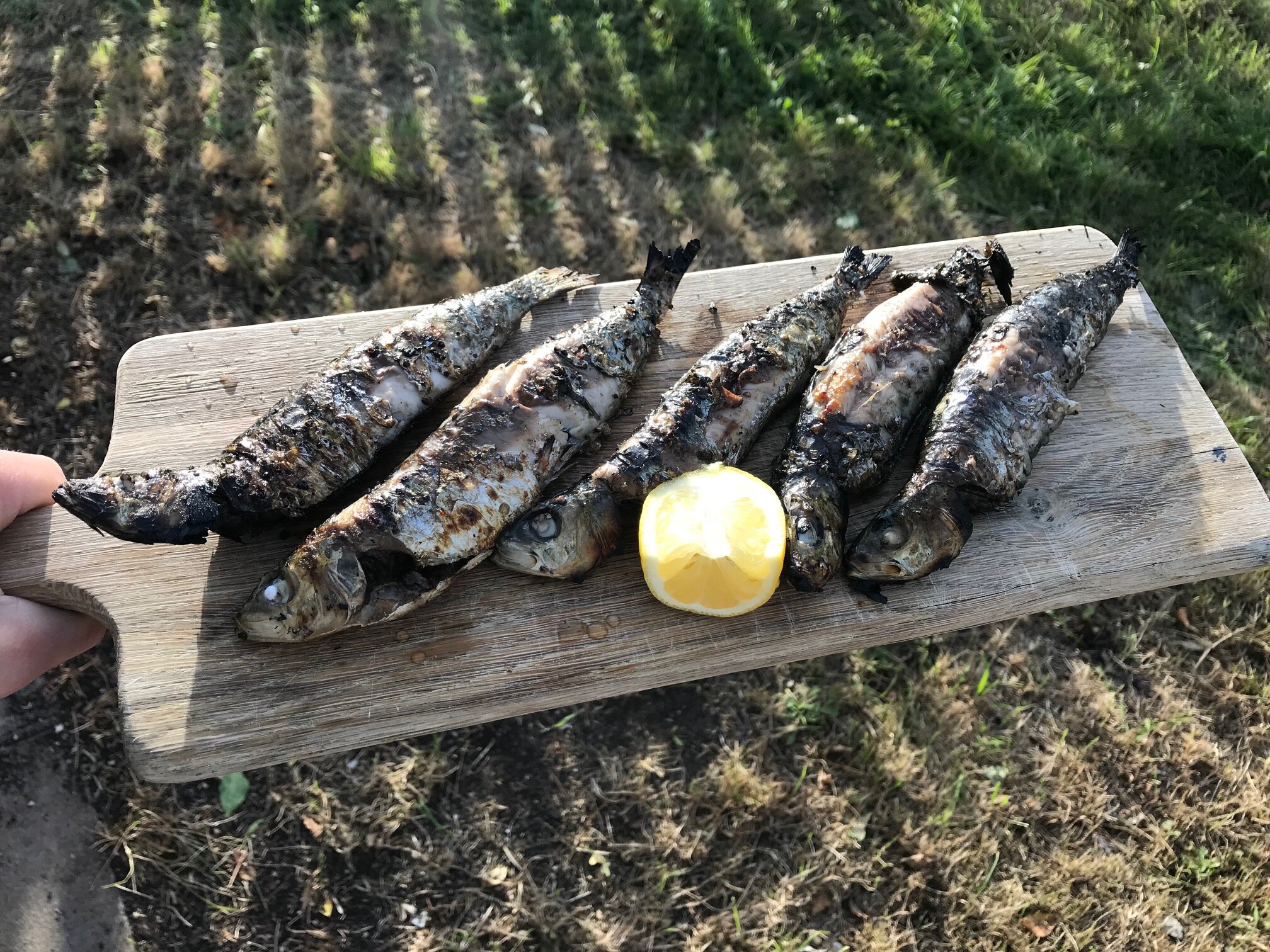 14. sardines BBQ 3.jpg