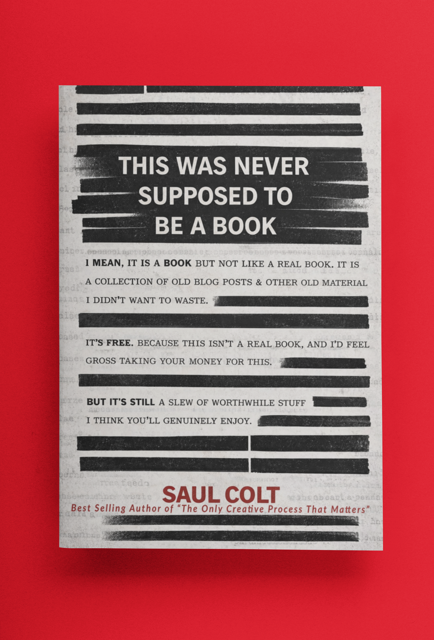 This Was Never Supposed To Be A Book