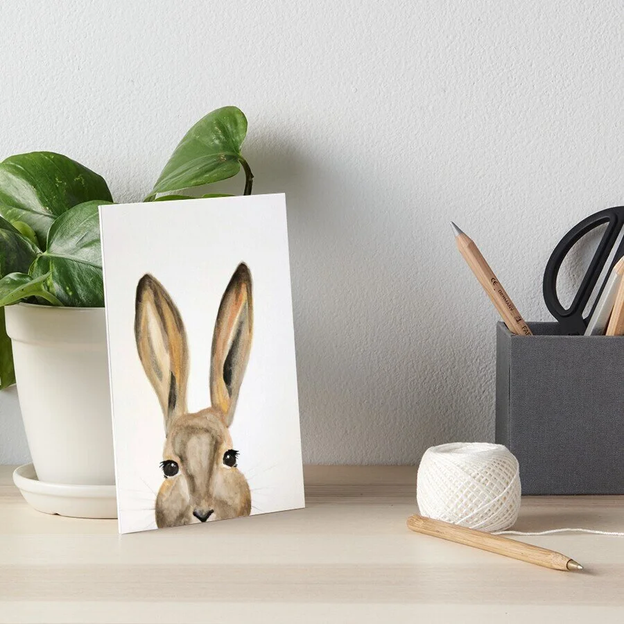 Peek-a-boo Peter Rabbit 🐰