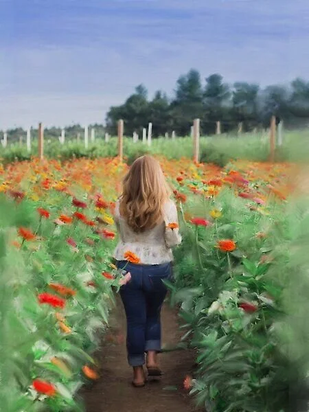 A Journey Through Flower Fields