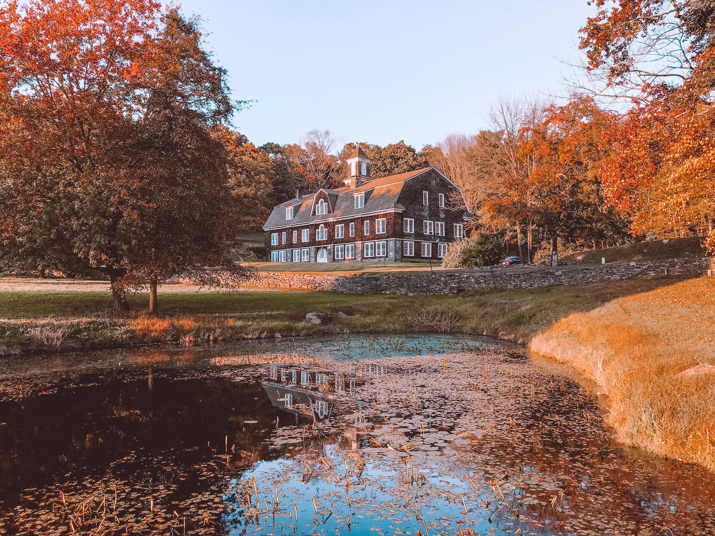 I Grew Up in a Barn ... 