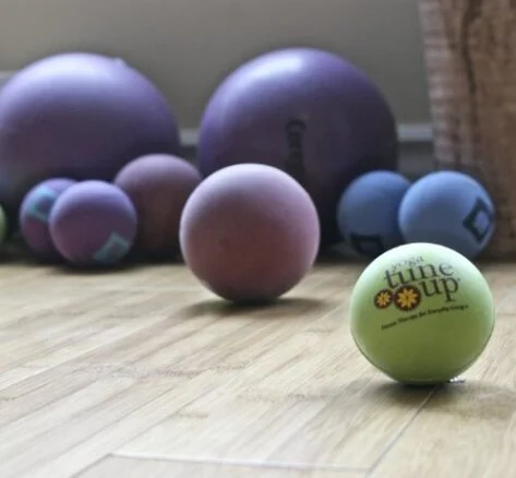 YOGABLOOM INFLAMMATION SEMINAR