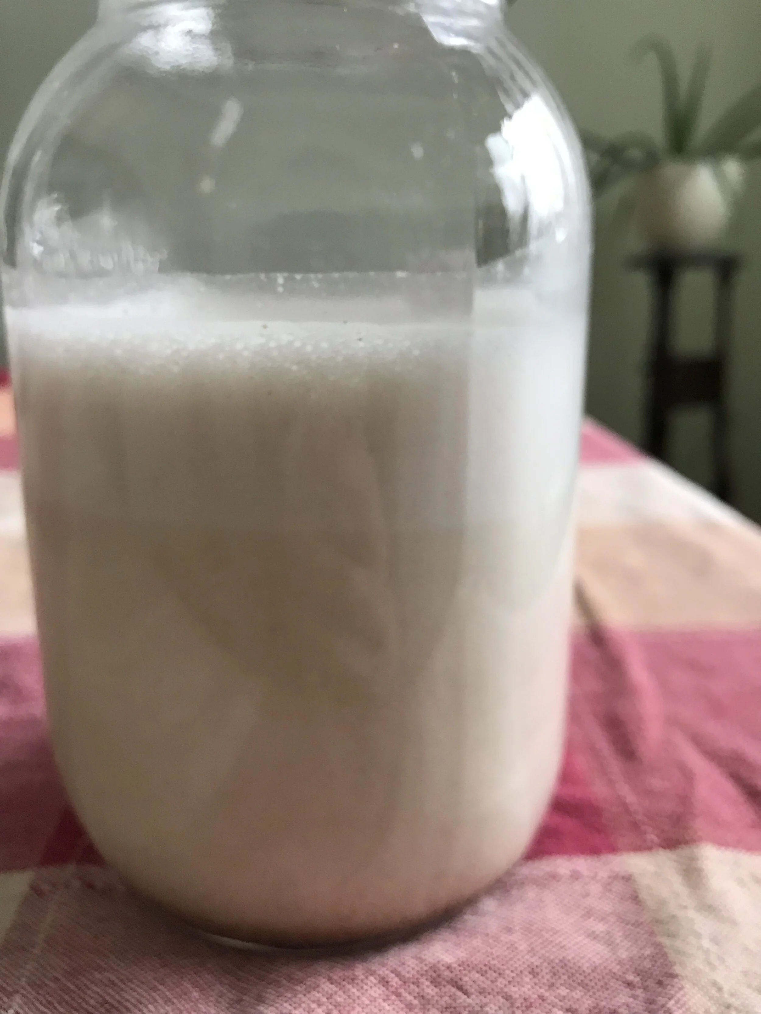 Fast Version of Almond Milk