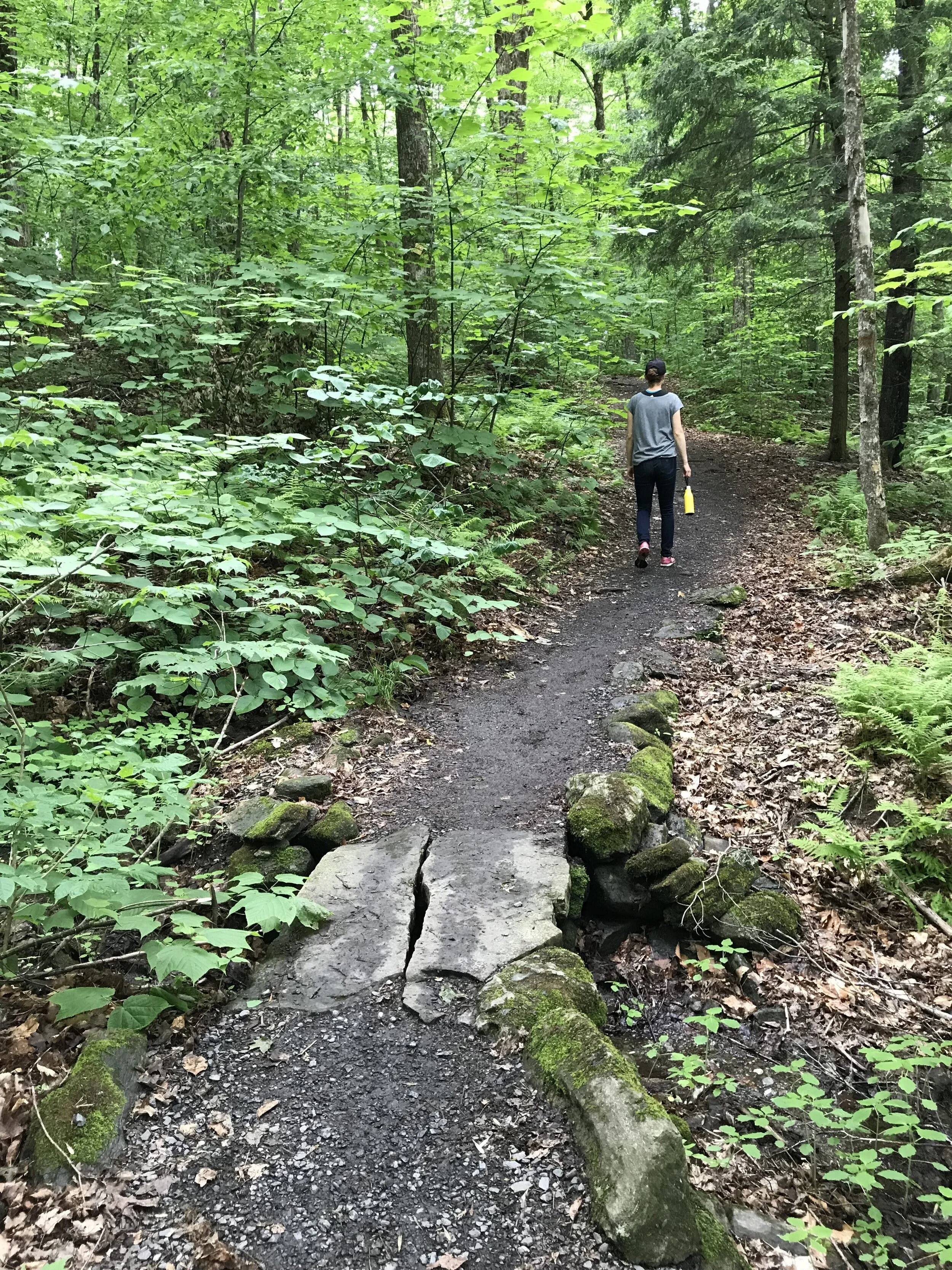 Studio Vie Summer Challenge