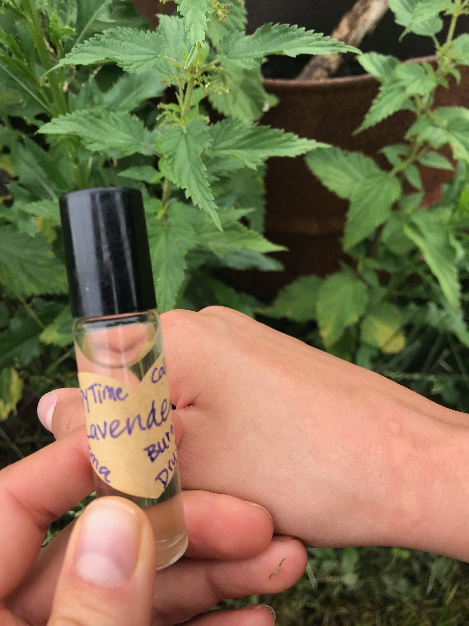 What Oils Saved Us On Our Summer Vacation!