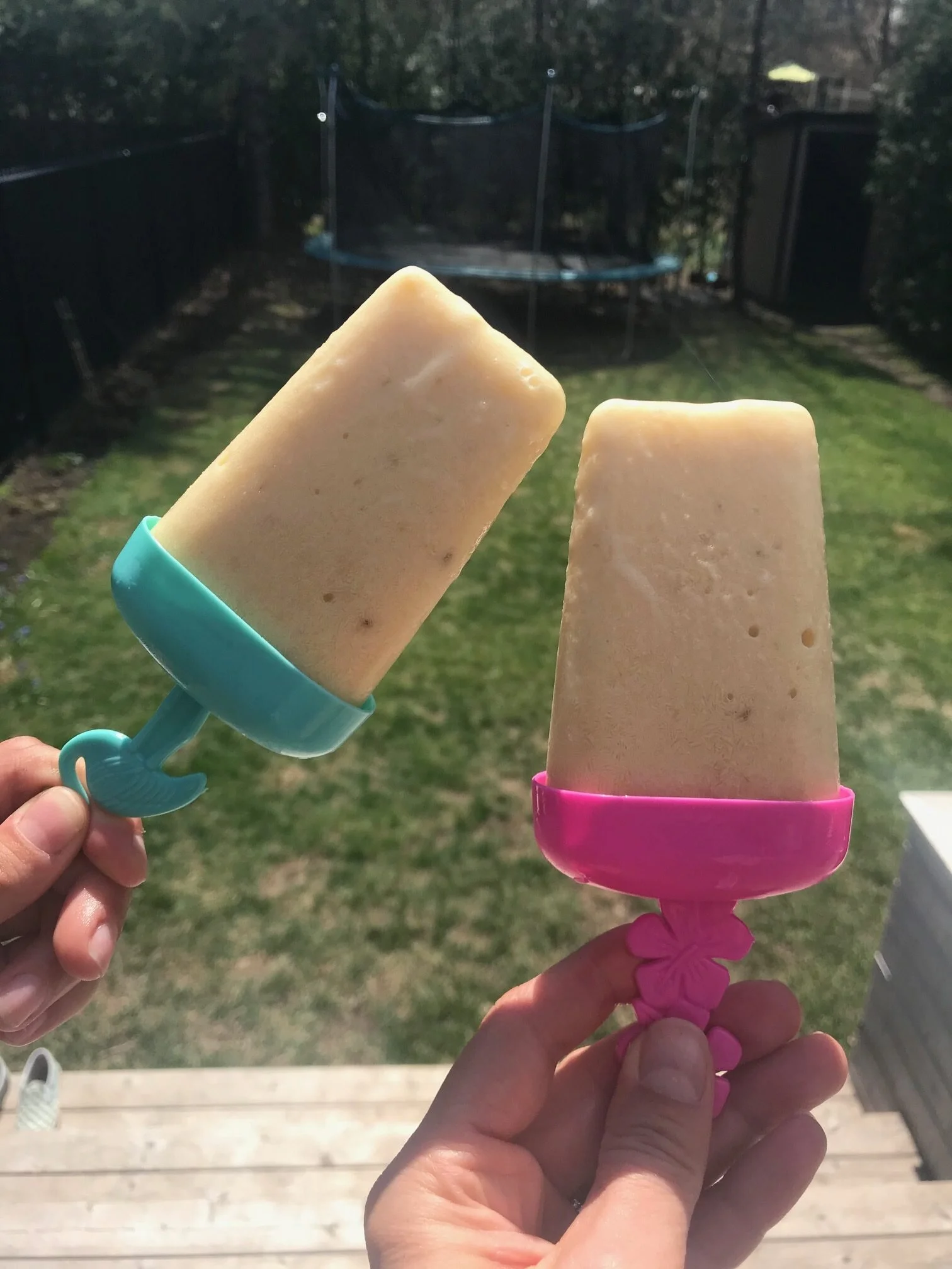 Homemade Popsicles