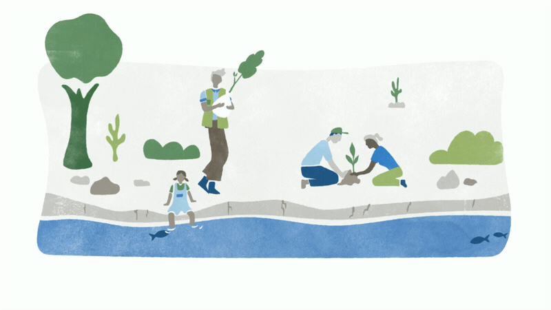 Procter & Gamble: Water Positive Future