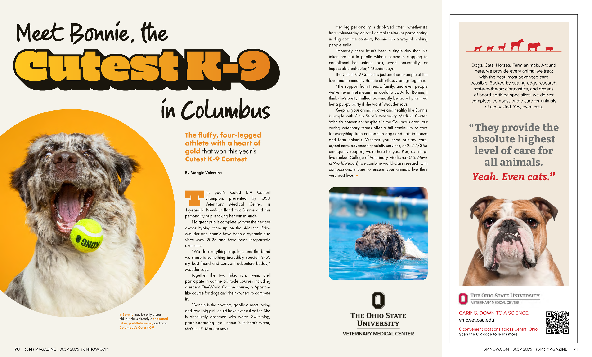CutestK9_614_July26_v4.png