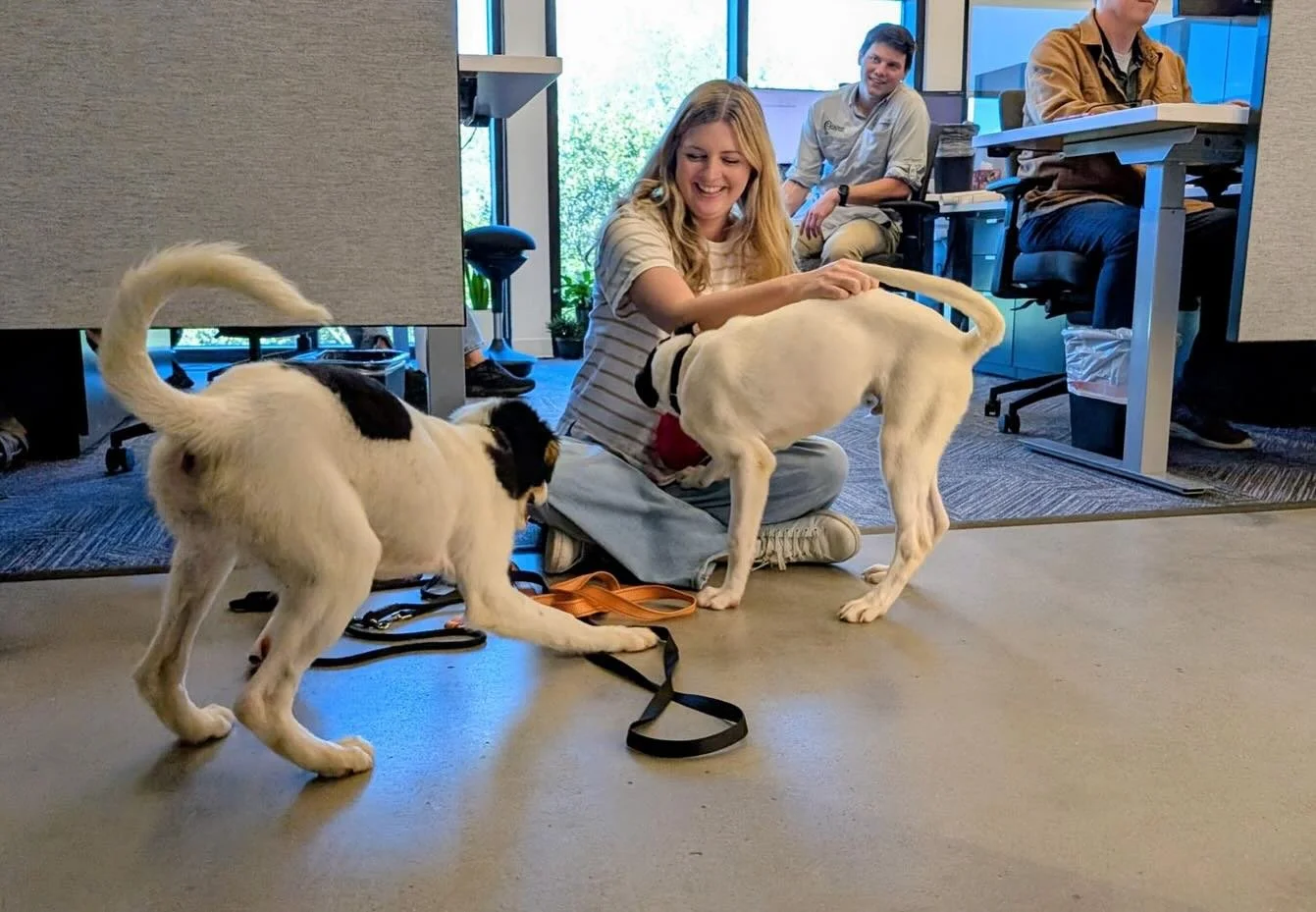 Our Murfreesboro office had a few special furry visitors today from @bigfluffydogrescue to thank our TN offices for collecting donations and supplies earlier this summer! 🐾❤️