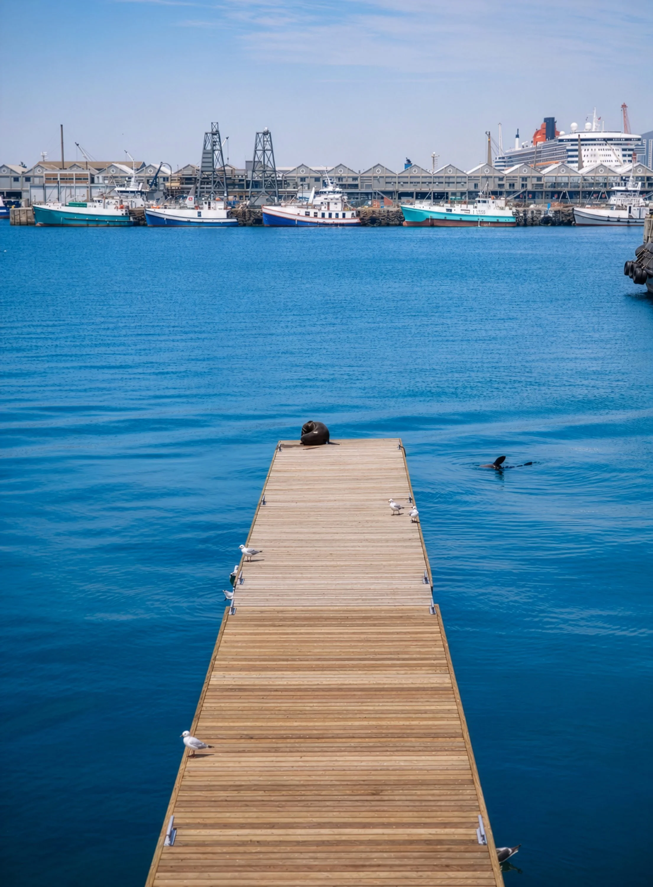 Seagulls-on-the-Sunny-Harbor-Pier-Firefly-Upscaler-4x-scale.jpg