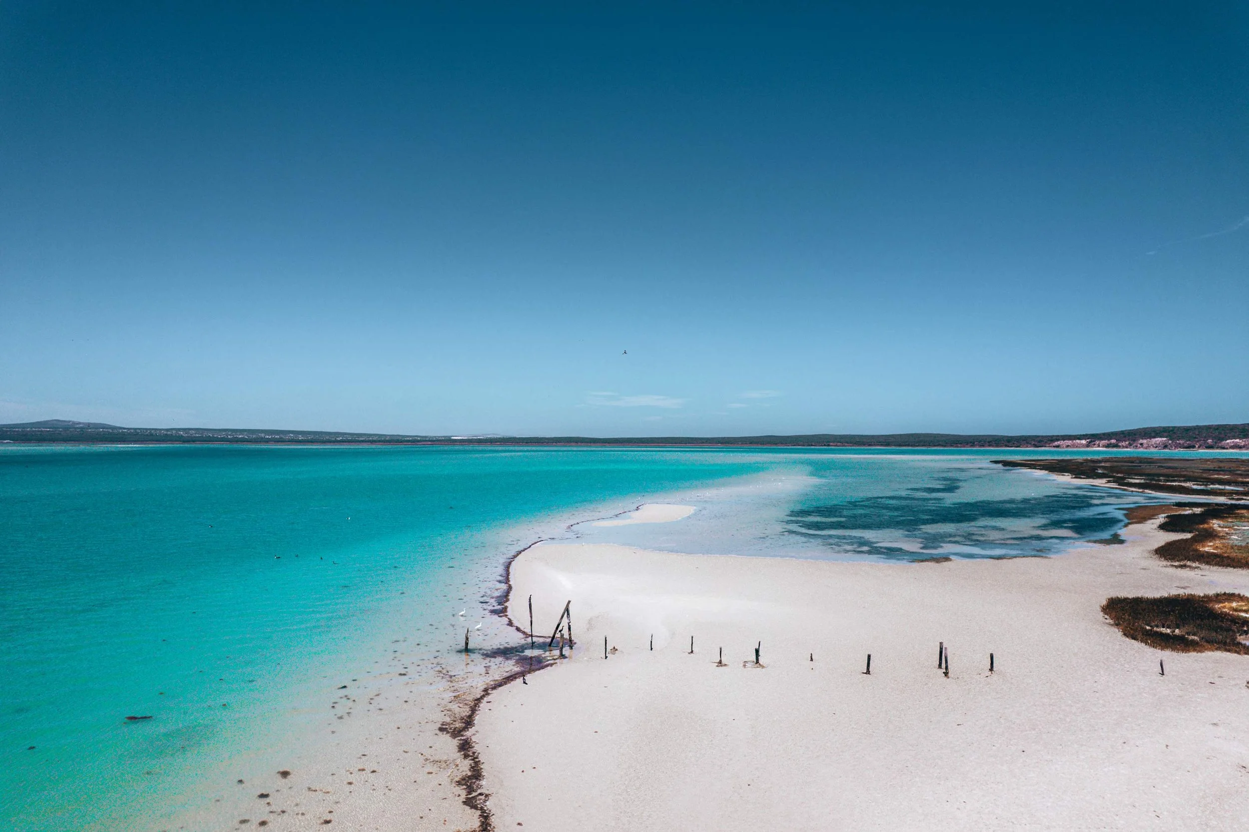20240127-DJI_0649.jpg