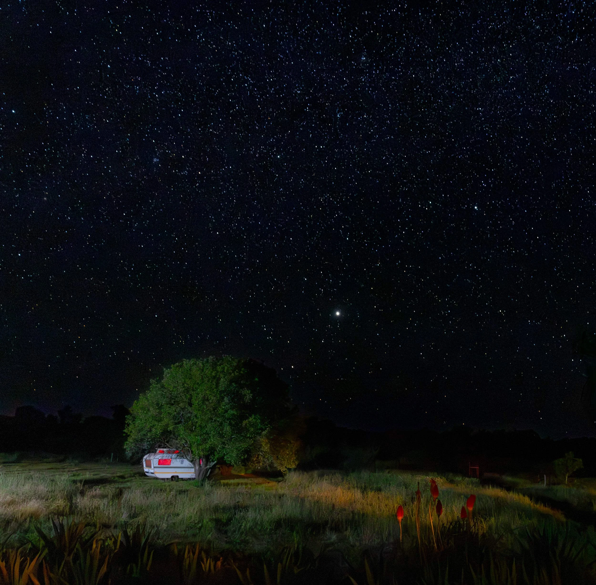 under stars.jpg