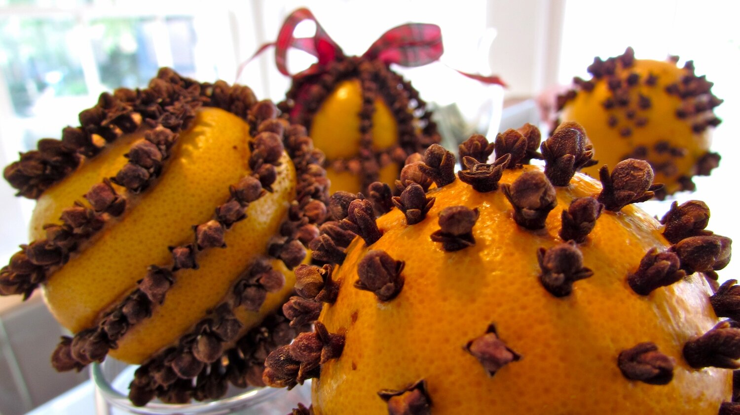 Sunday Funday: Pomanders — Neill-Cochran House Museum