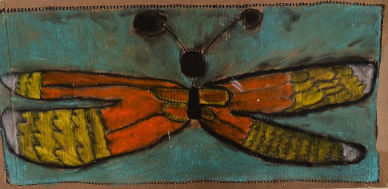 Yoab_Cabrera_Butterfly Specimen - David Carrales.jpeg