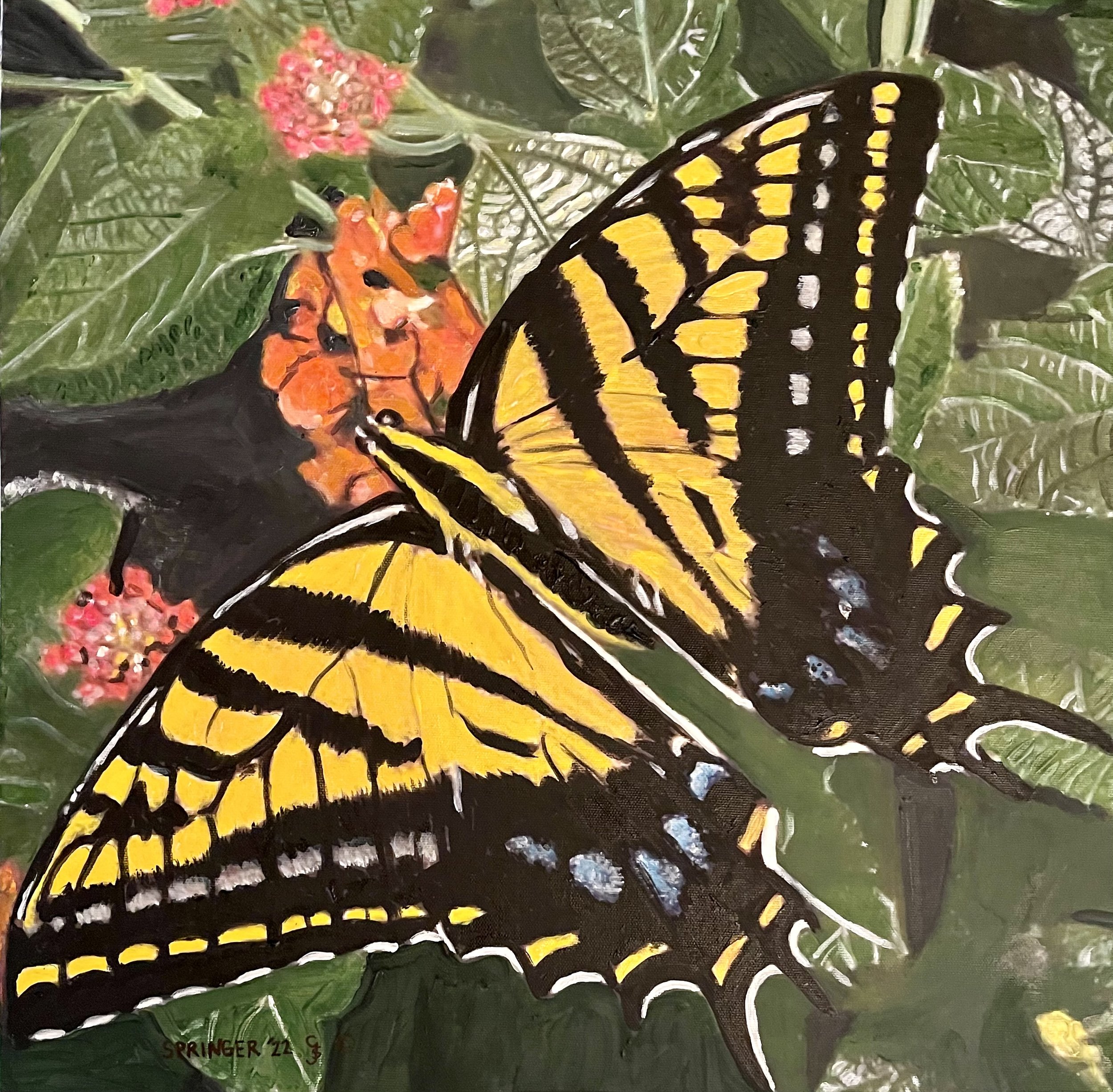 SwallowTail Butterfly #2 - for Neill Cochran Museum - Gary Springer.jpg