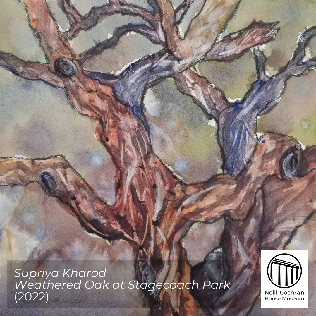 Supriya Kharod-Weathered Oak at Stagecoach Park-2022.png