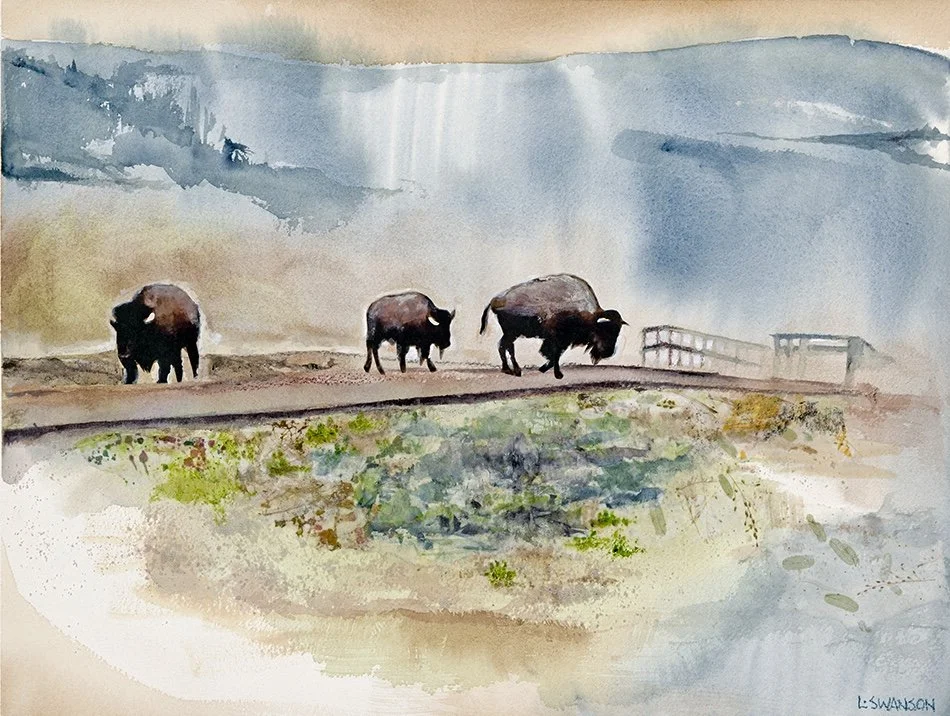 Lonni Swanson, Buffaloes in the Mist