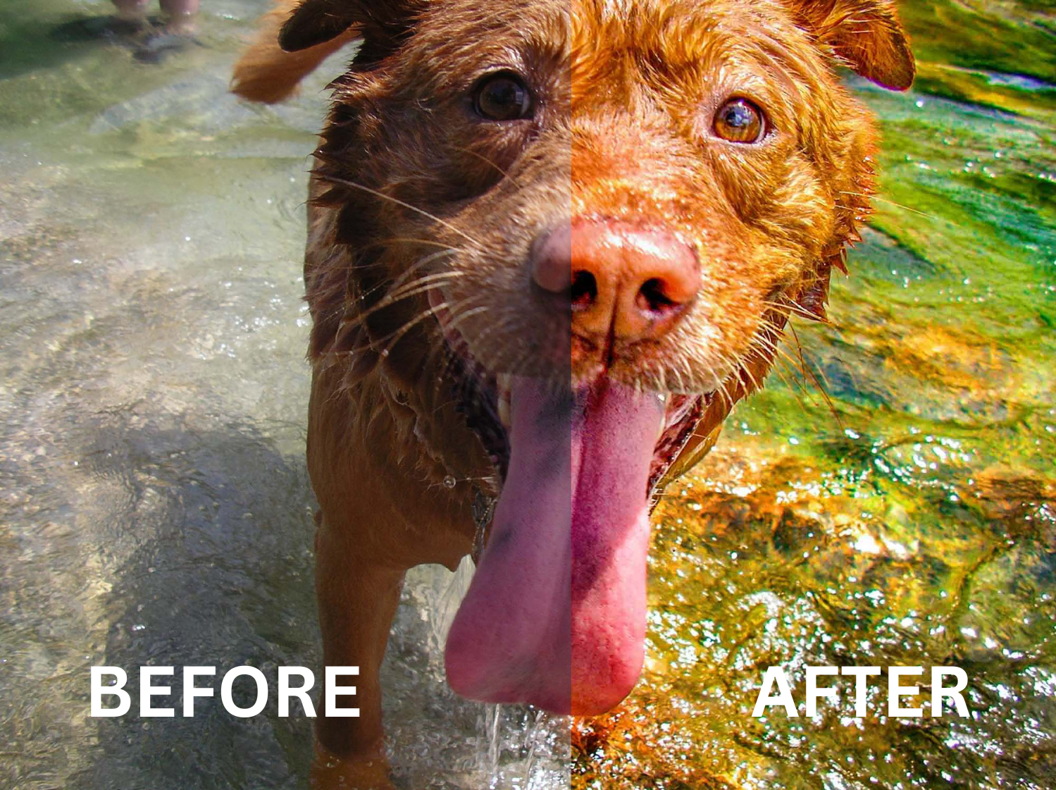 Will van Overbeek Photography Seminar