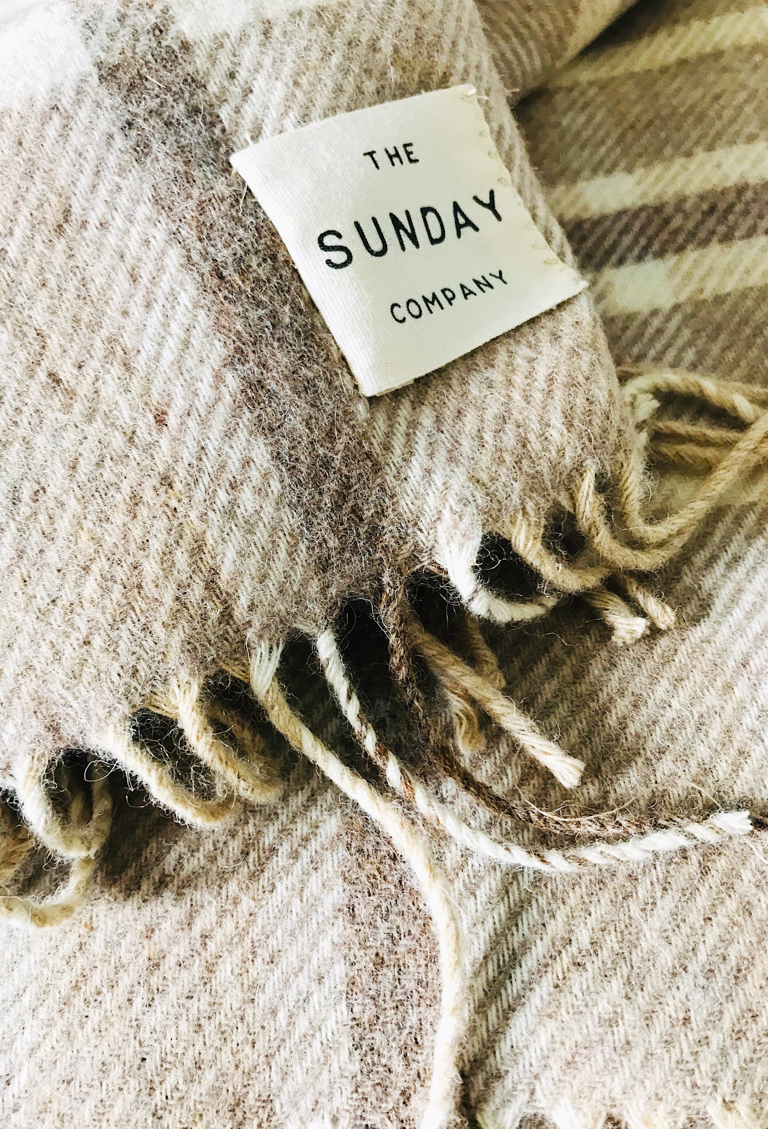 Taupe check blanket .jpg