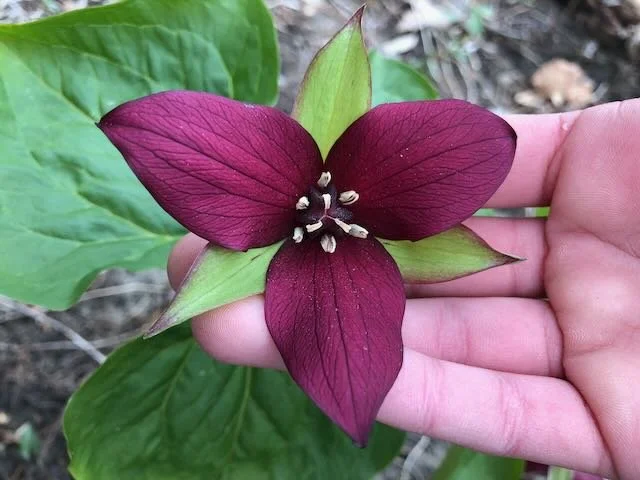 Photos for marketing - 222 of 242.jpeg