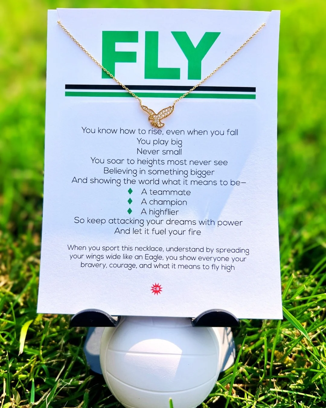 FLY 🦅 // Hello @eaglemustangvolleyball and @officialehsmustangs 🤩 I wrote this one for the volleyball team and would love for all of you to have one! 50% of the net proceeds will support the Eagle High School volleyball program. Only 40 available! 