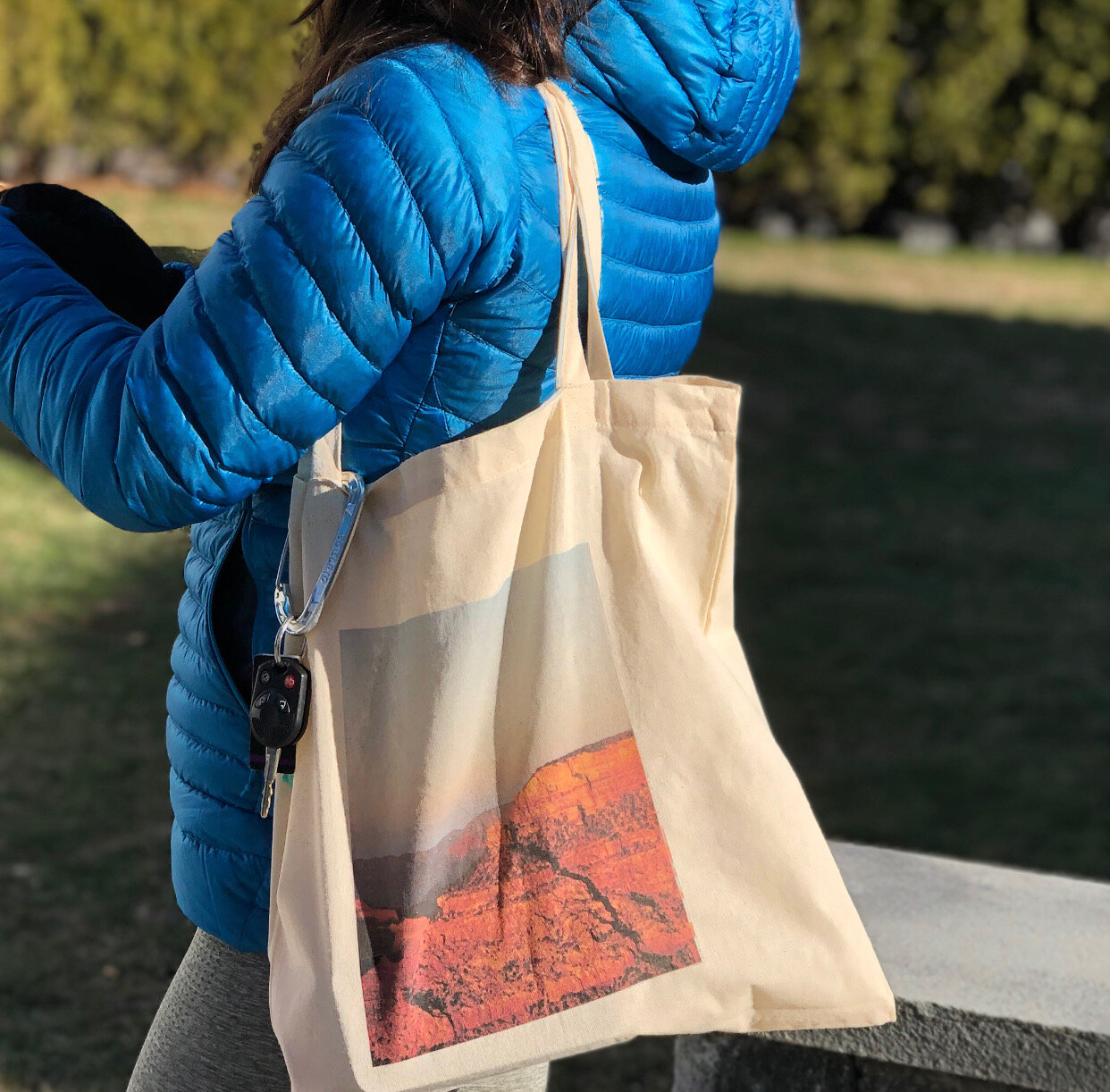Ana Arizona Tote.jpeg