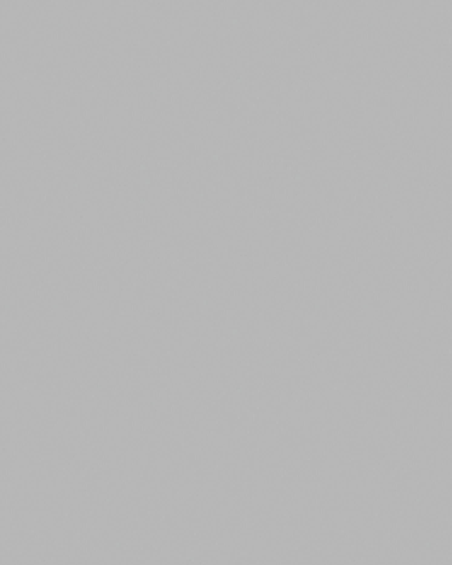 light_grey_background+copy.jpg