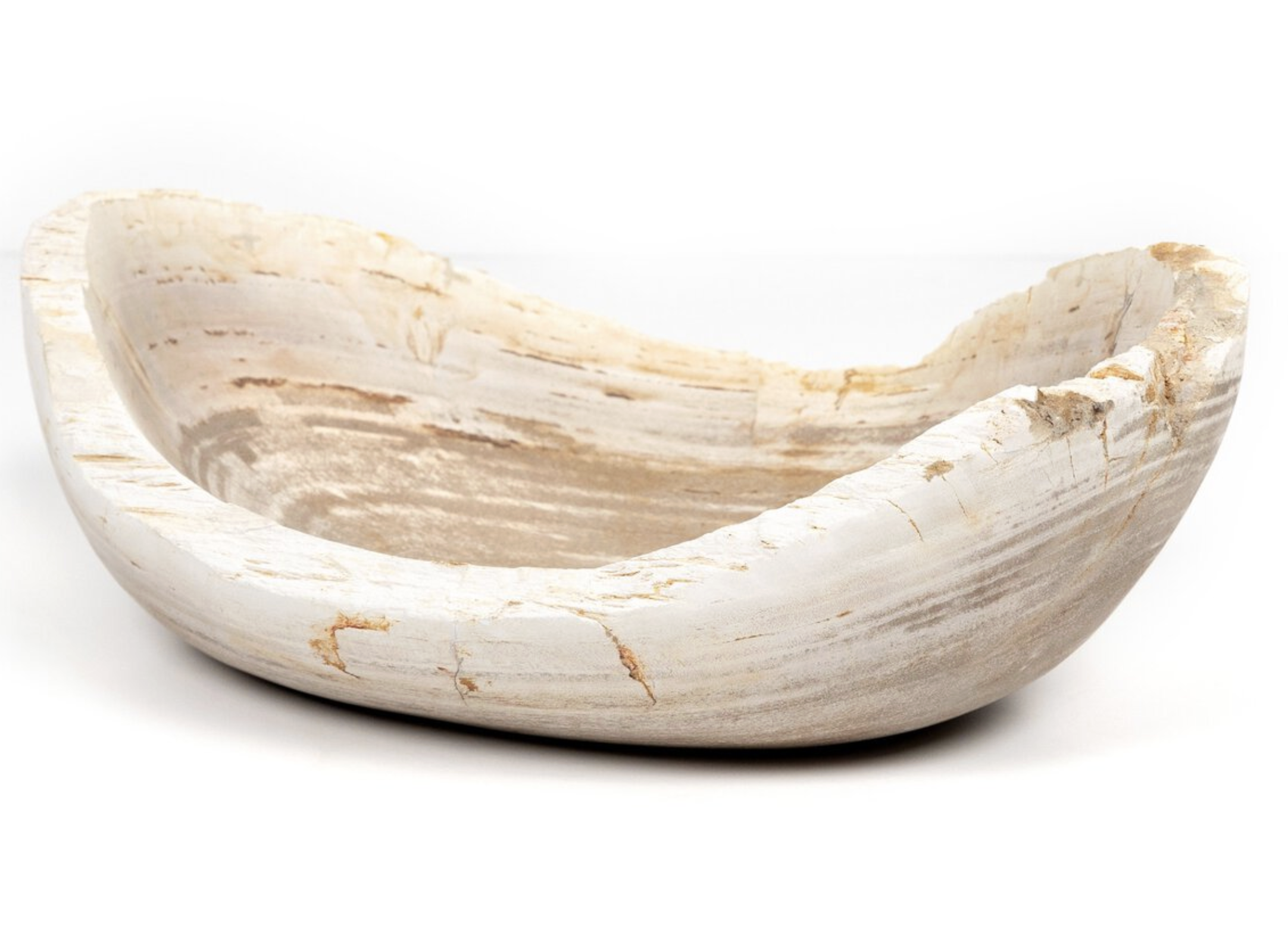 Oval Petrified Wood Bowl 