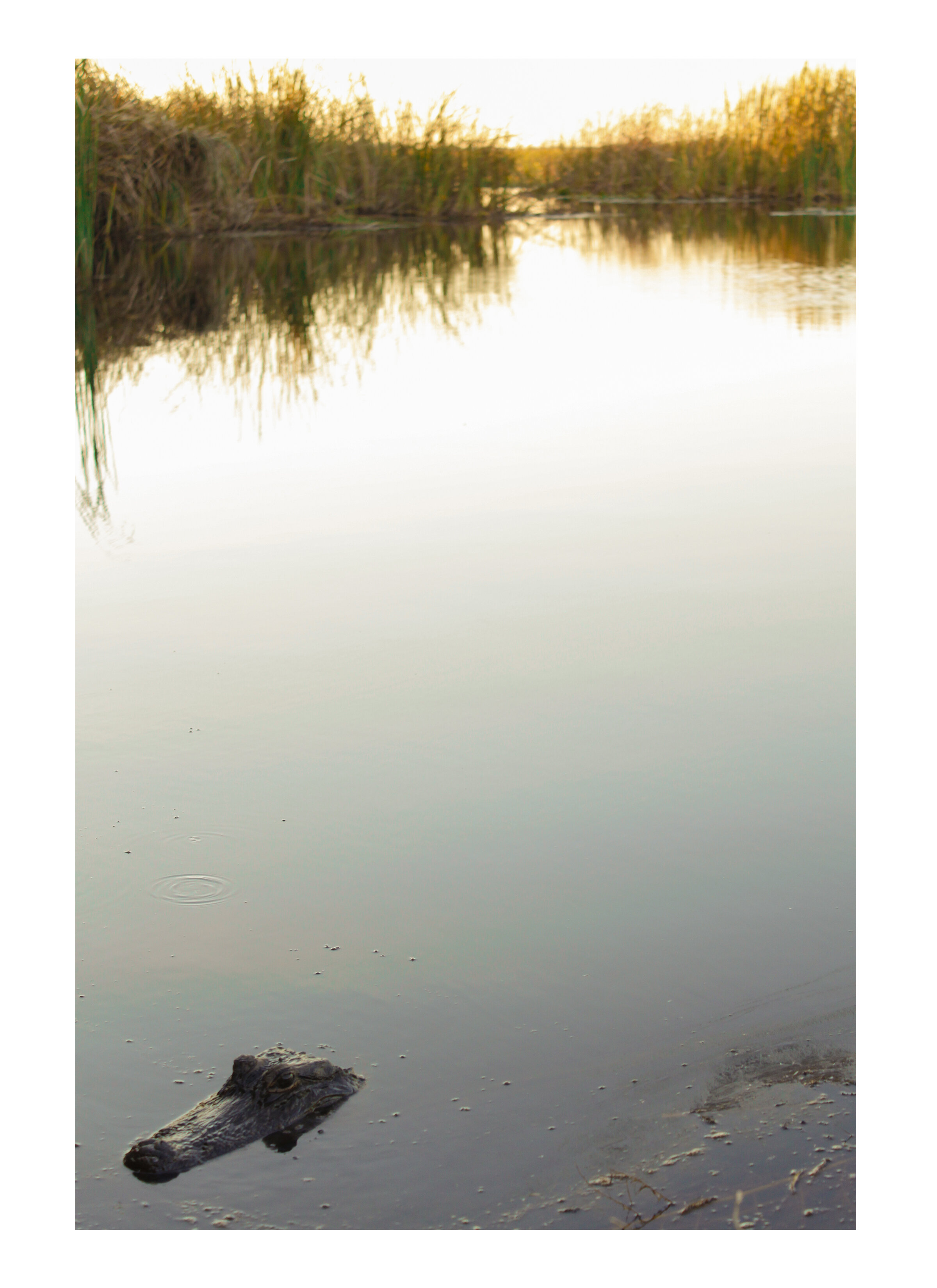 1.Landscape.jpg
