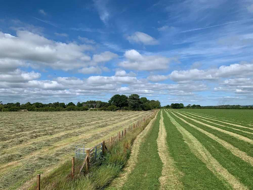 Silage or haylage? — The Silage Consultant