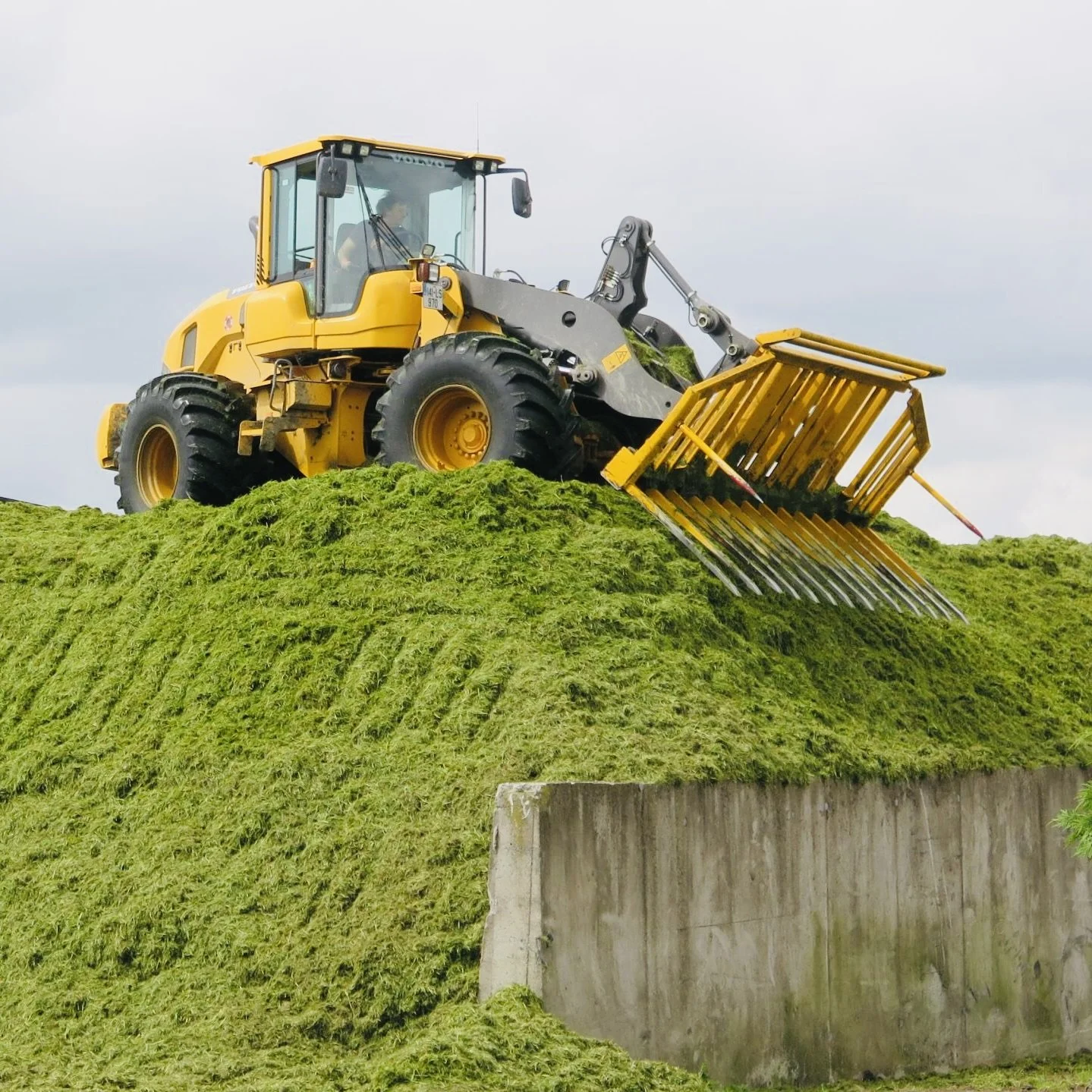 Stacking silage above the walls - a good idea?