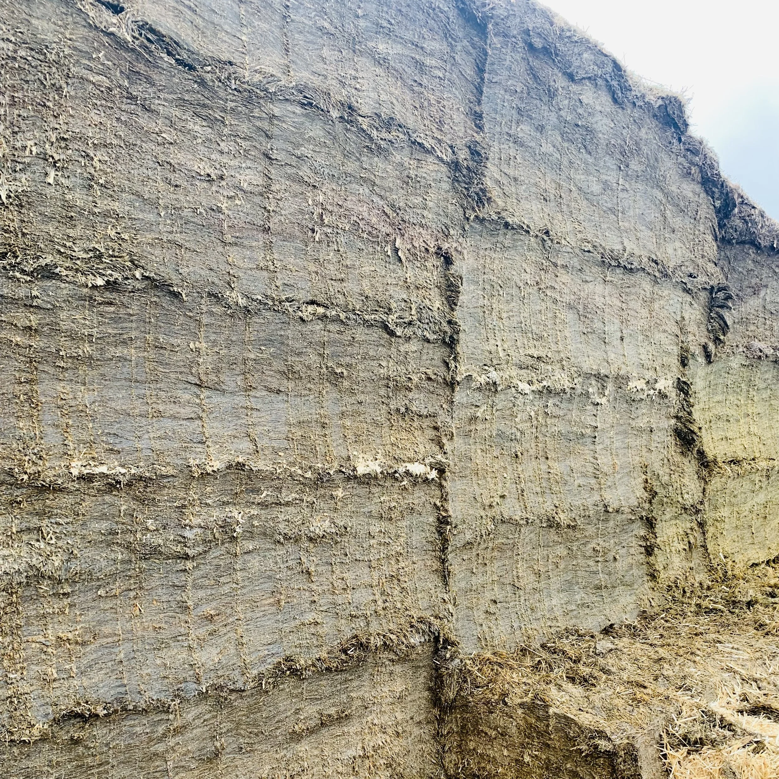 Using wet silage to control the silage clamp face
