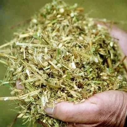 How to take silage samples