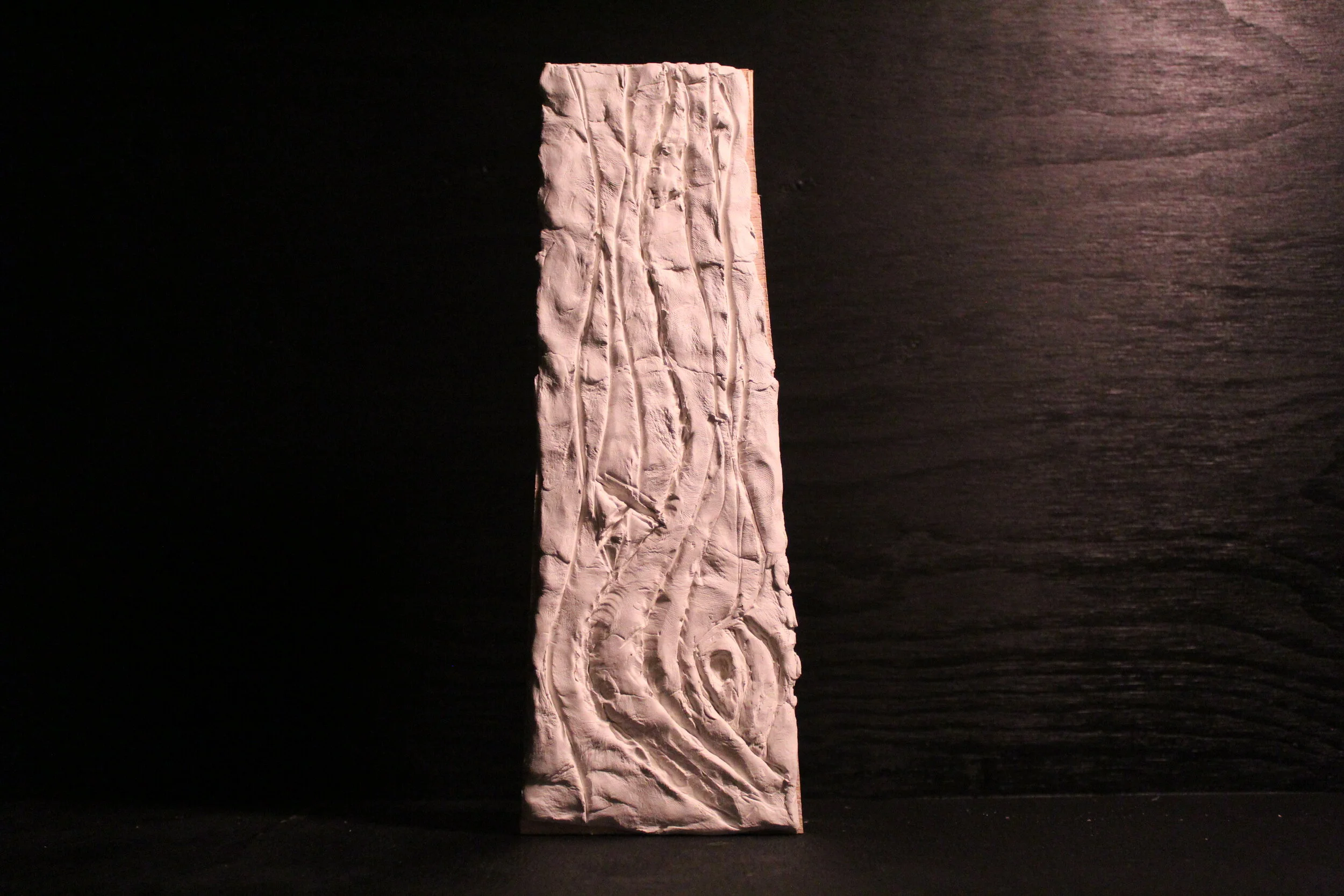 Tuck Tree. Made out of sculpting clay and backed with Balsa wood. 