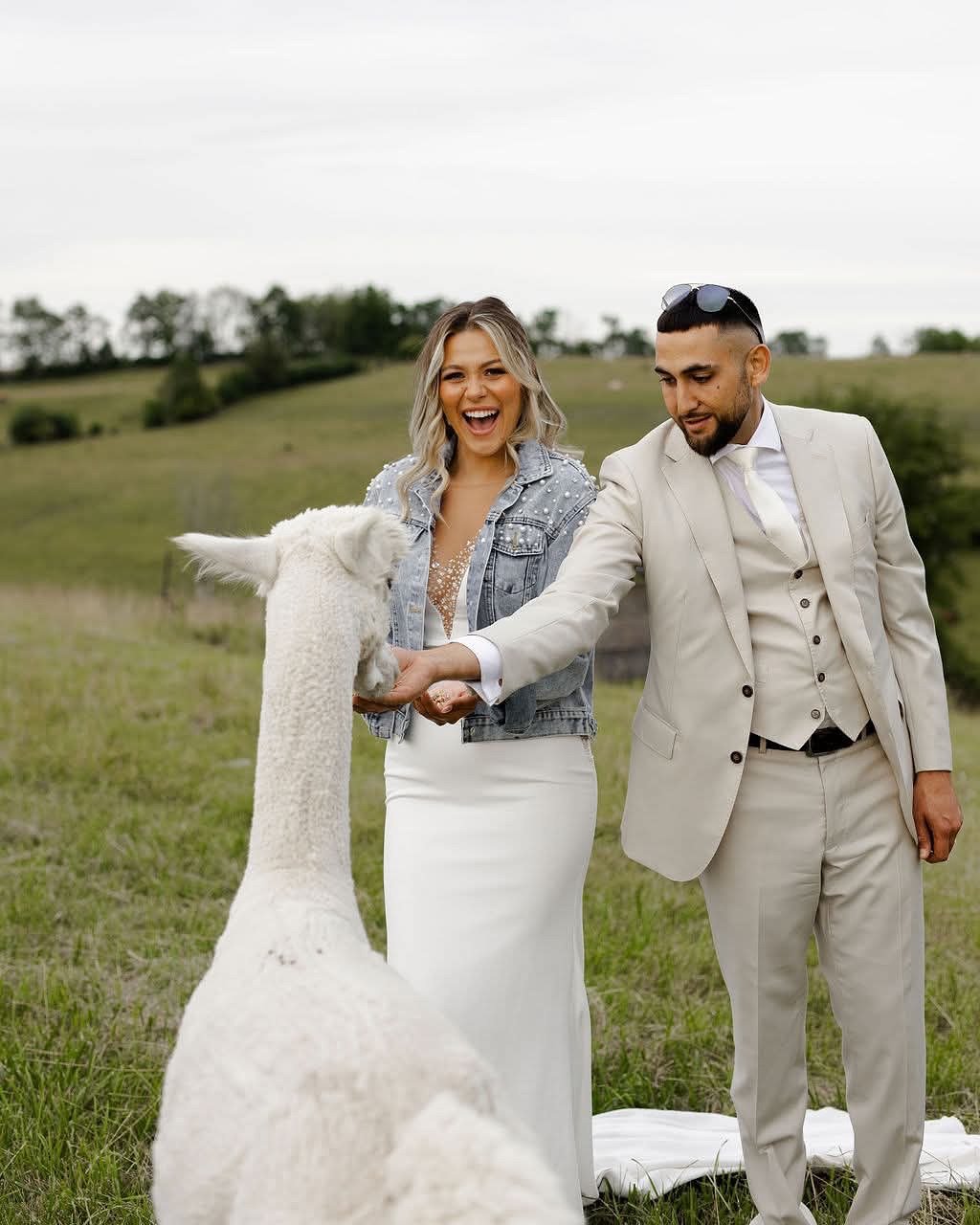 One of the many reasons to get married at Farmhill.🦙🤍