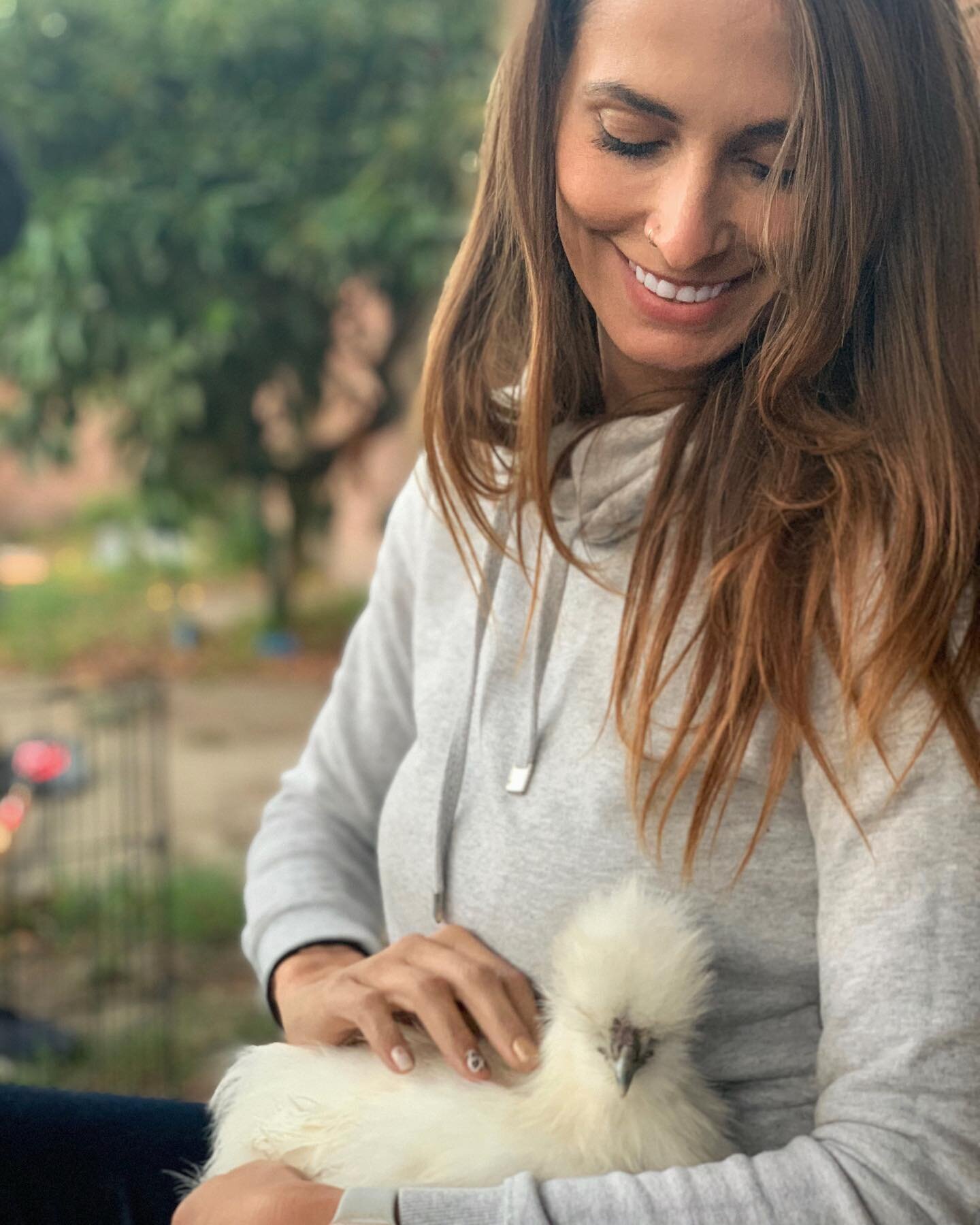 This week we added a few little girls to the family 💕 Meet Dorothy, Rose &amp; Blanche ✨Our Golden Girls✨thank you so much for letting me adopt these babies @mrbellock 🙏🏼🐓🐓🐓 #chickenmama #govegan