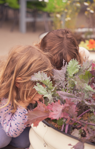 Two children smelling plants in a garden with purple and green leaves.