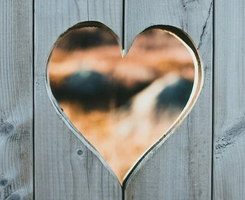 Cultivating Self Love