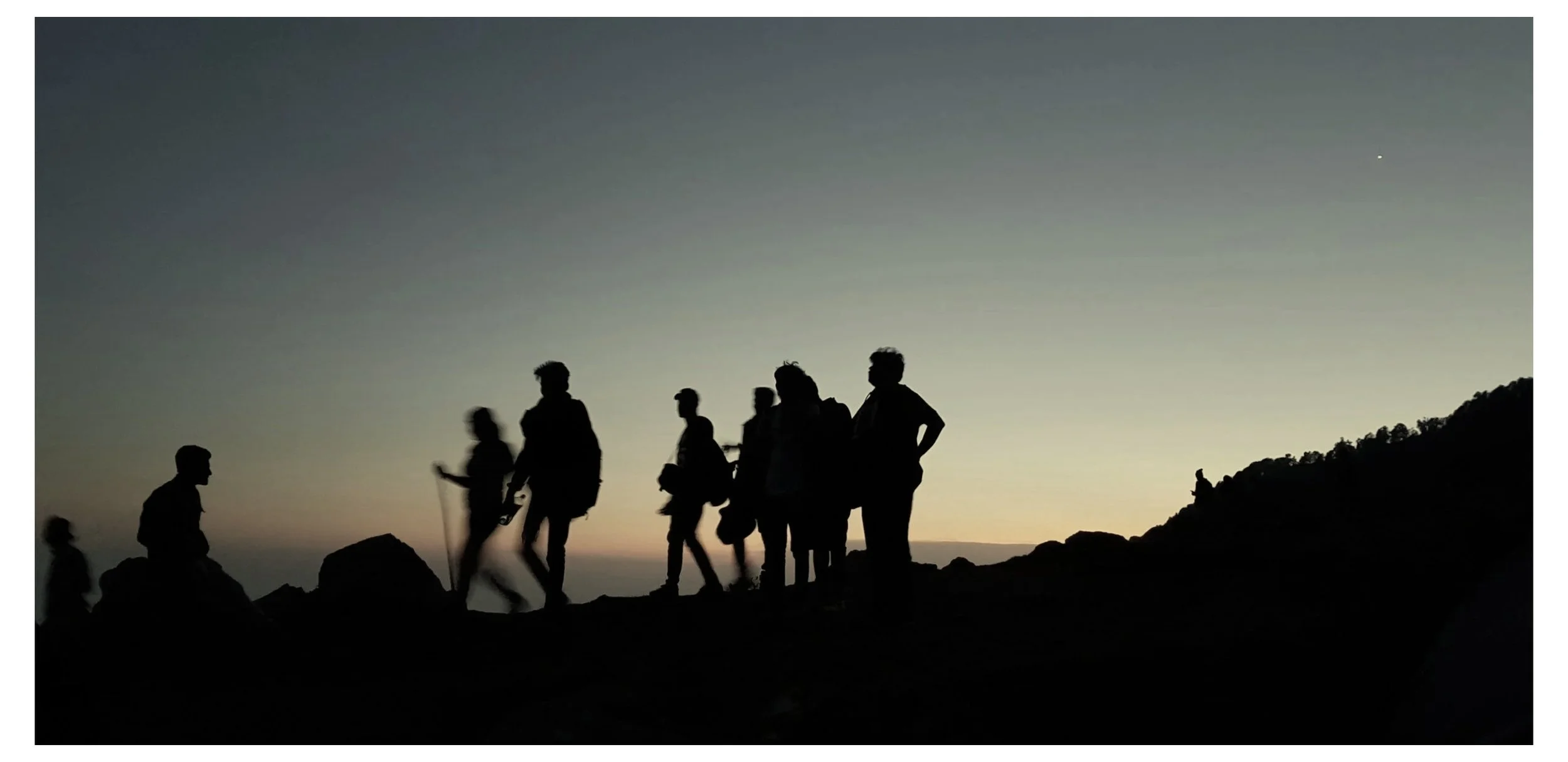 Training from the Wild