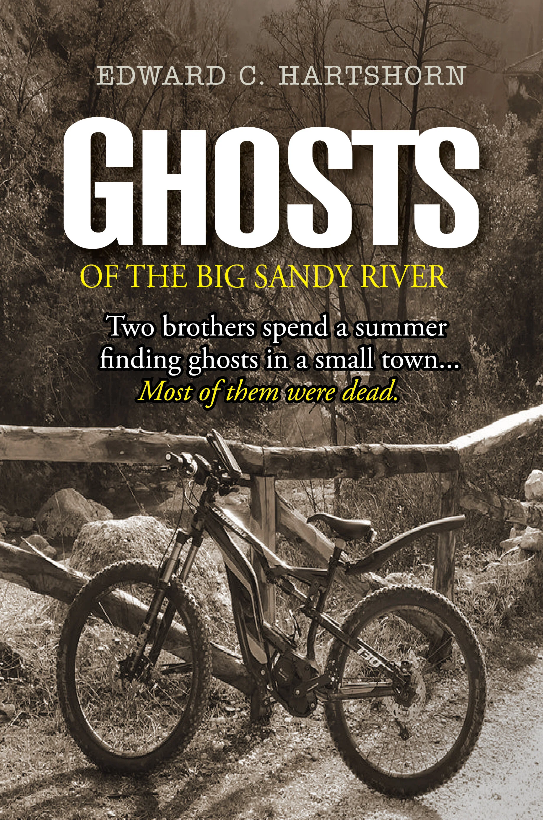  Ghosts of the Past - New novel set in Louisa, Fort Gay, W.Va.