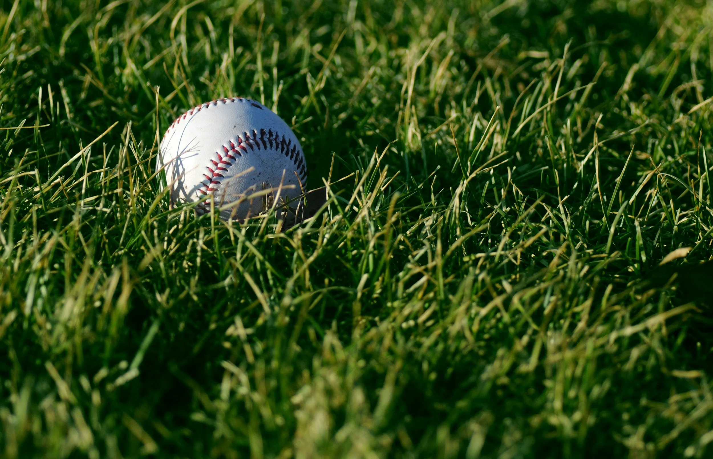 Bulldogs fend off Bobcats