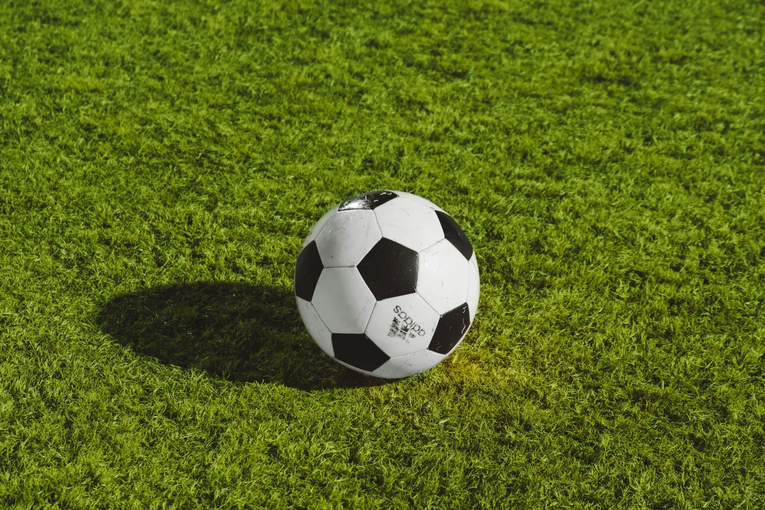 Lady Bulldogs Training Academy to be held Aug. 8