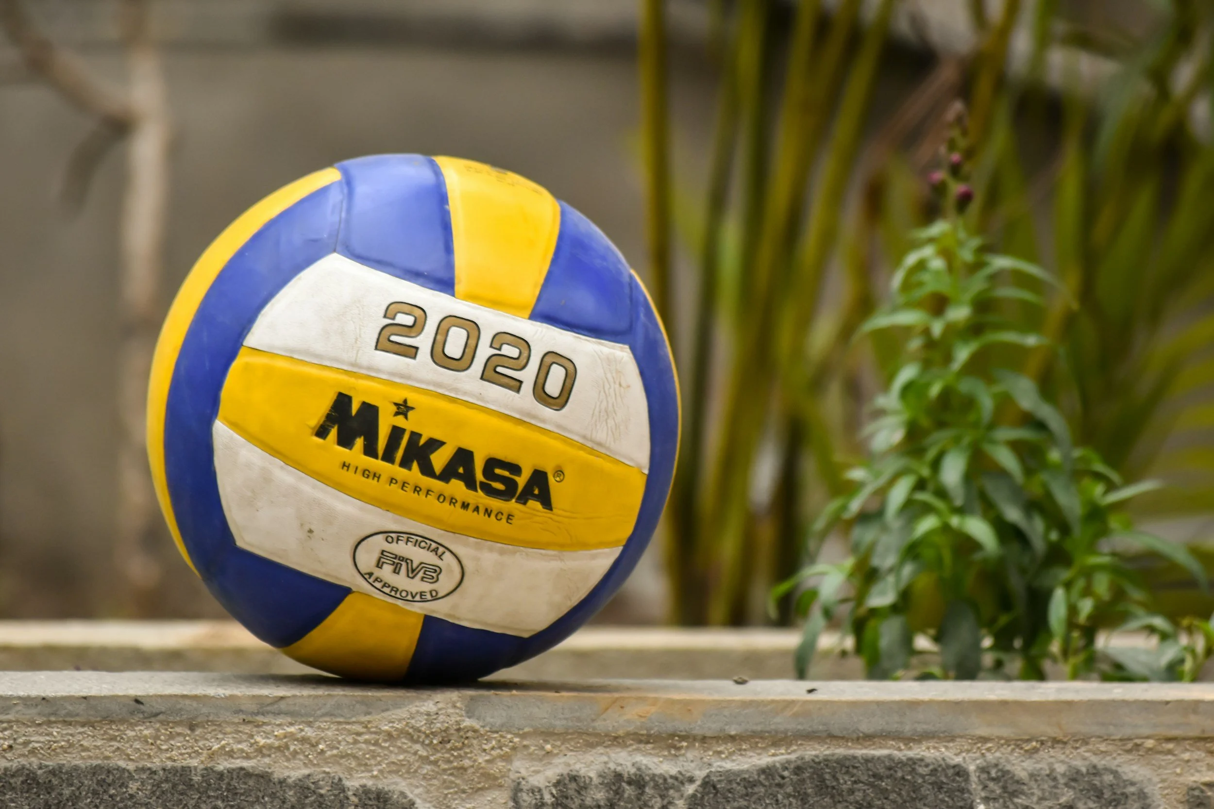 Paintsville earns 2026 AVCA Team Academic Award