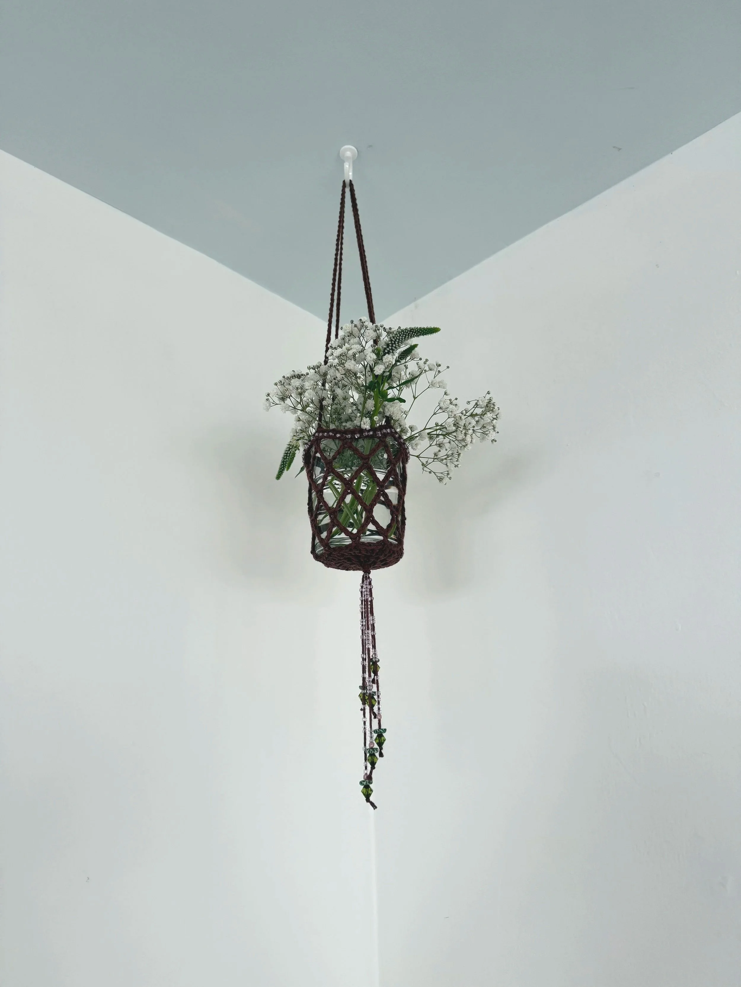 Cocoa Plant Hanger