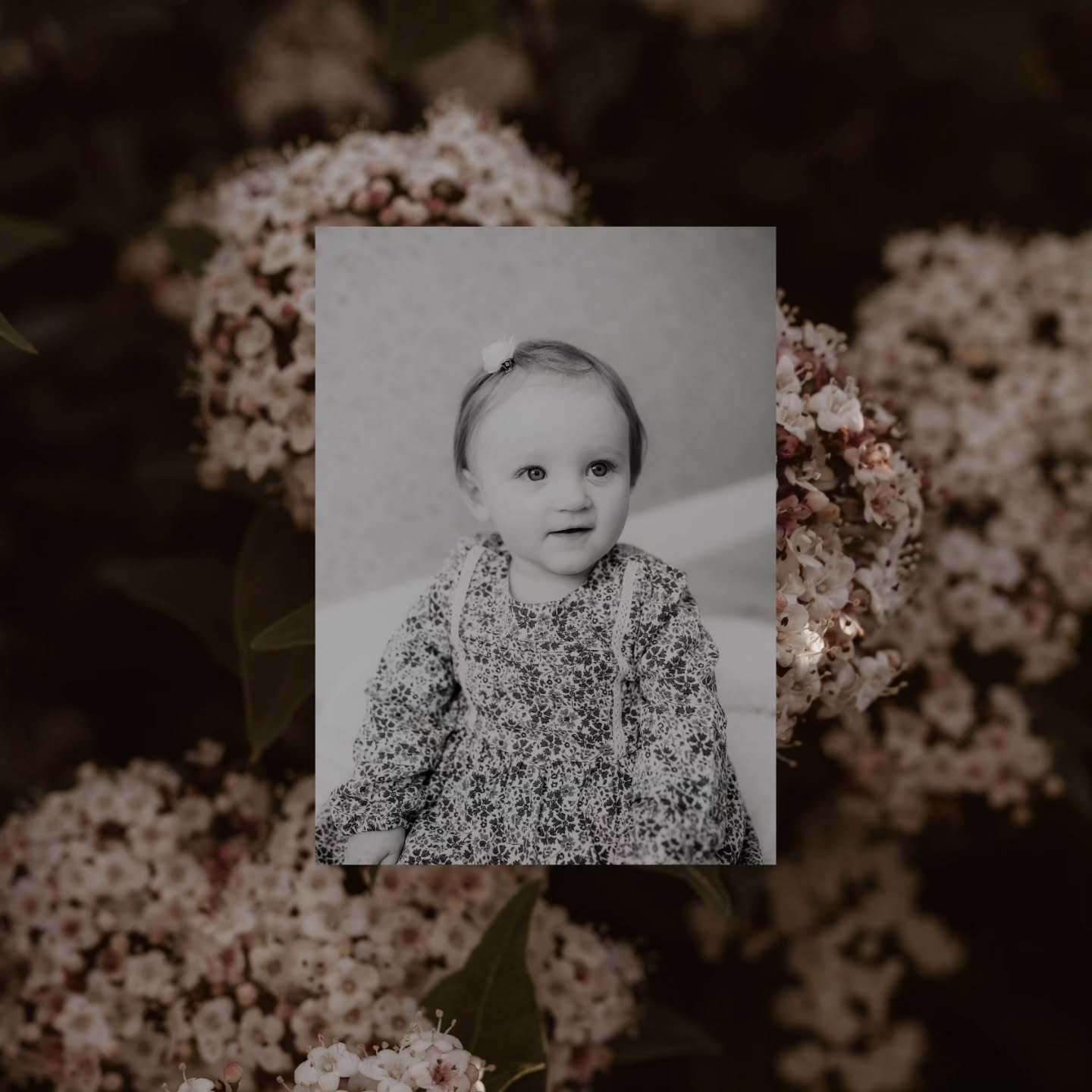 &Agrave; travers l'image, le temps est &eacute;ternel...🕊

#photographe #famille #shooting #photooftheday #timelesselegance #photographecentre #portraitphotography #bnw #styleart #poesie #babyphotography