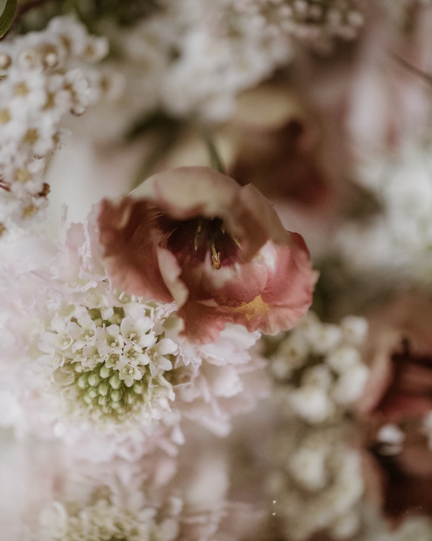✨ Shooting au Ch&acirc;teau de Thauvenay ✨

Le week-end dernier, j&rsquo;ai eu la joie de r&eacute;aliser un reportage photo pour Ad&eacute;la&iuml;de et Maxime, au coeur du Ch&acirc;teau de Thauvenay ! 

🌻 Les prochaines semaines s'annoncent tr&egr