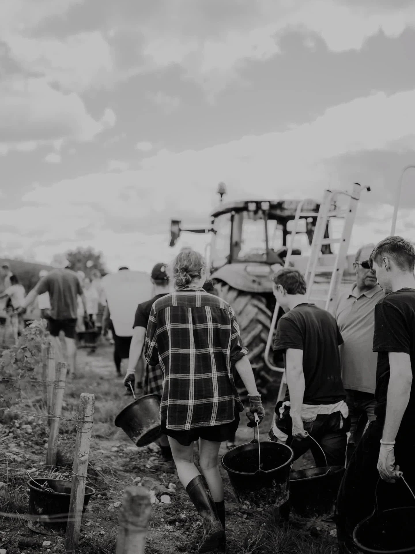 🍇Les vendanges en noir et blanc, comme un retour dans le temps, sur les traces de vos anc&ecirc;tres...@domaineluciencrochet

#vignobles #vendanges2025 #reportagephoto #vin #domaineviticole #vindebourgogne #naturephotography #vignes #shooting #bnw #
